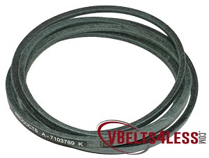 7103789 - Replacement Snapper Belt 